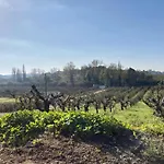 Ikigai Bed & Breakfast Carvalhal (Leiria)