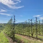 Ikigai Bed & Breakfast Carvalhal (Leiria)
