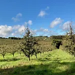 Ikigai 3* Carvalhal (Leiria)