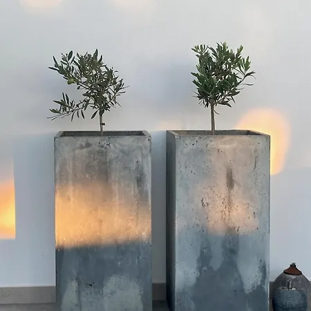 Bed and breakfast Ikigai 3*