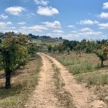 Ikigai Bed and breakfast 3*