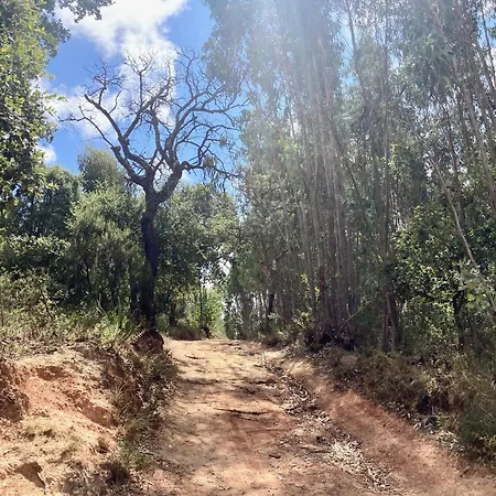 Bed and breakfast Ikigai 3*