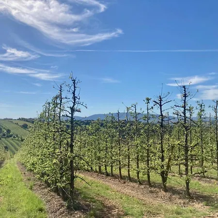 Ikigai Bed and breakfast Carvalhal (Leiria)