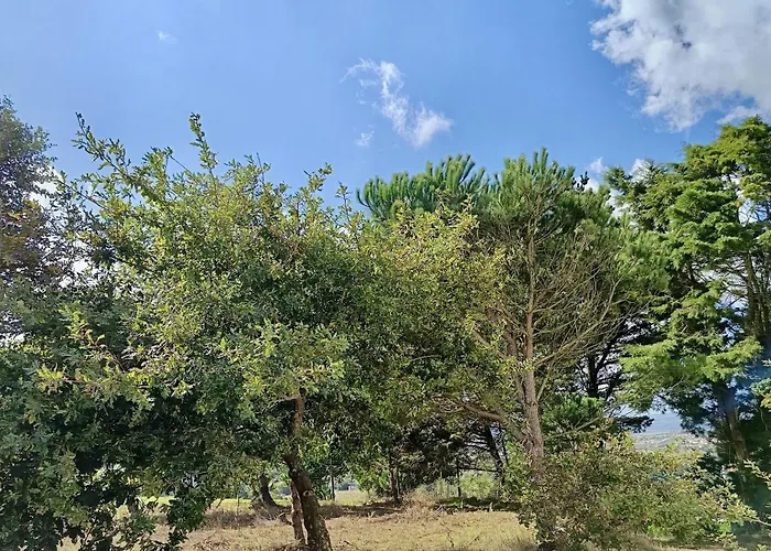 Ikigai 3* Carvalhal (Leiria)