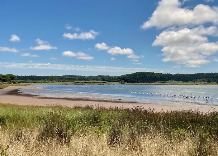 Ikigai فندق مبيت وإفطار Carvalhal (Leiria)