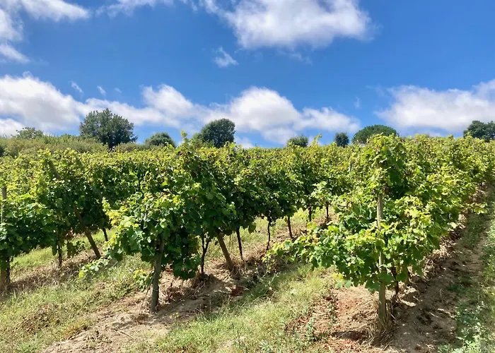 فندق مبيت وإفطار Ikigai