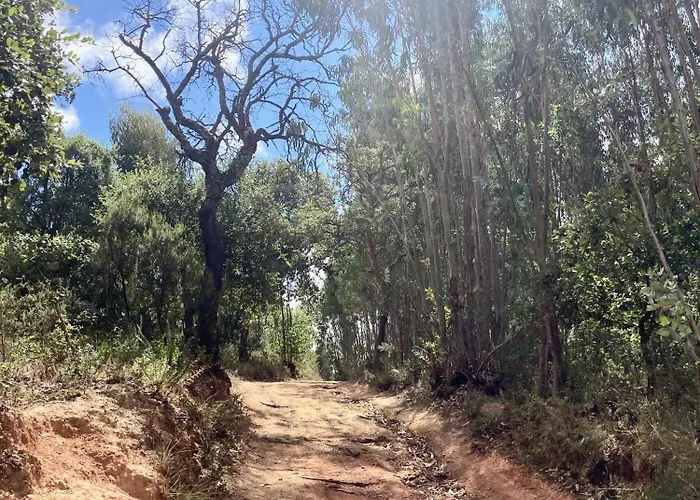 فندق مبيت وإفطار Ikigai 3*