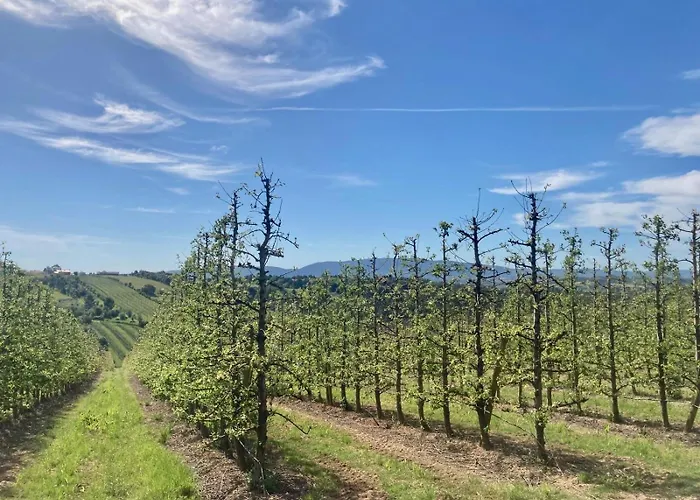 Ikigai فندق مبيت وإفطار Carvalhal (Leiria)